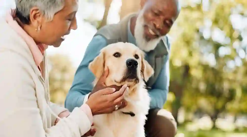 Pet Training Tips for Raising a Happy and Obedient Pet